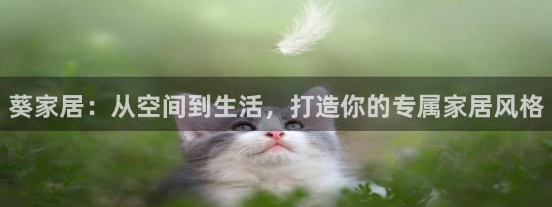 ug环球买分卖分