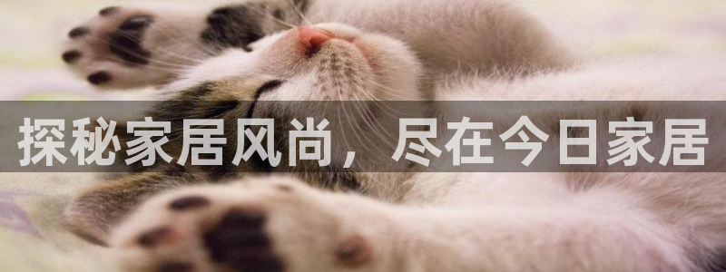 ug环球代理加盟