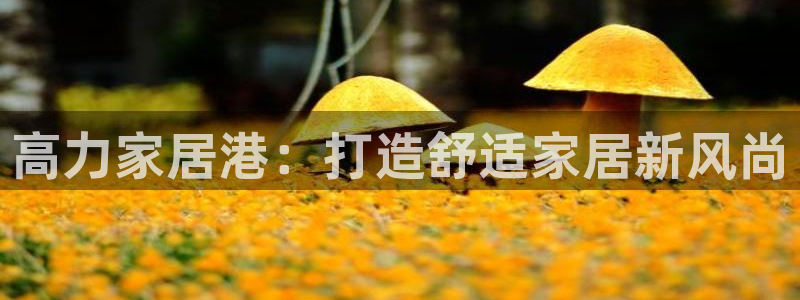 ug环球代理平台官网