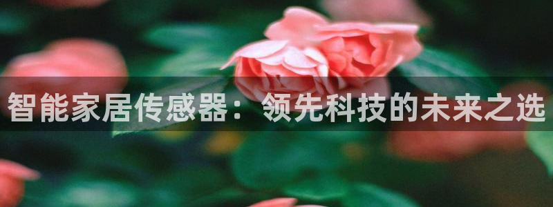 ug环球国际360