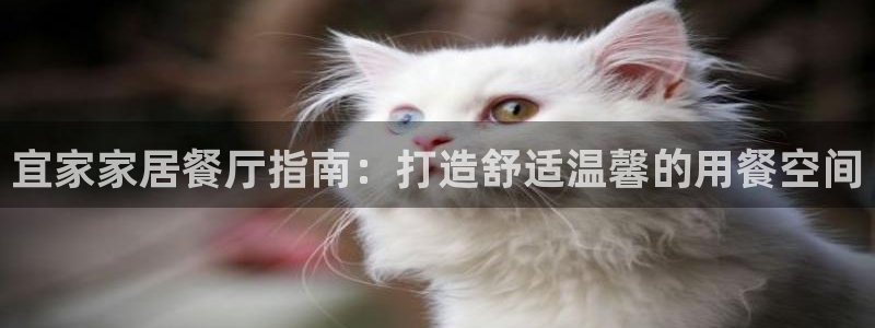 ug环球官网24小时