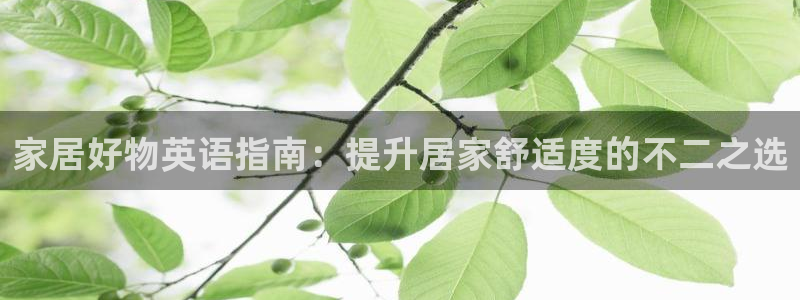 ug环球在线开户