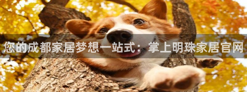 环球ug官网网址
