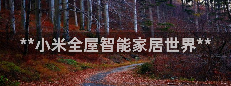 UG环球国际在线