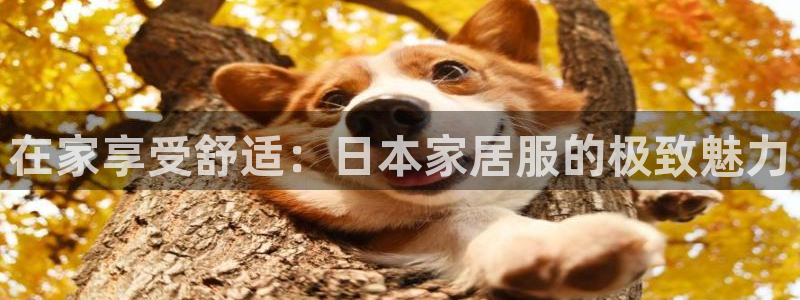 ug环球代理加盟
