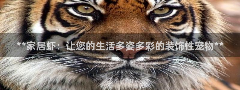 ug环球在线开户