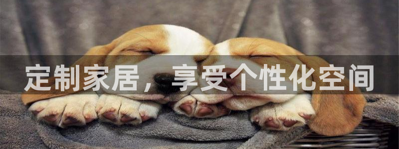 ug环球正网买分