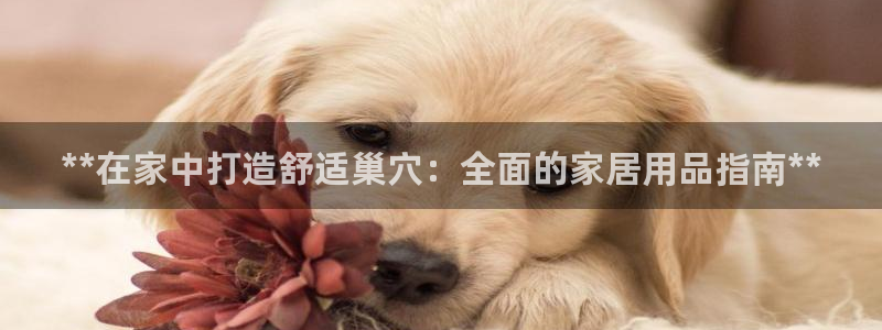 uG环球游戏网站