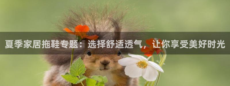 ug环球会员登陆