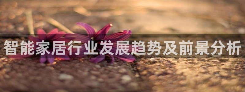 ug环球密码重置是多少位数