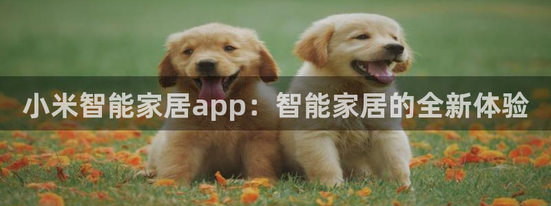ug环球360代理