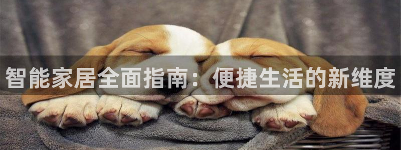 ug环球官网