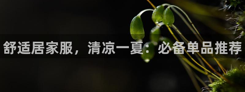 ug环球会员开户