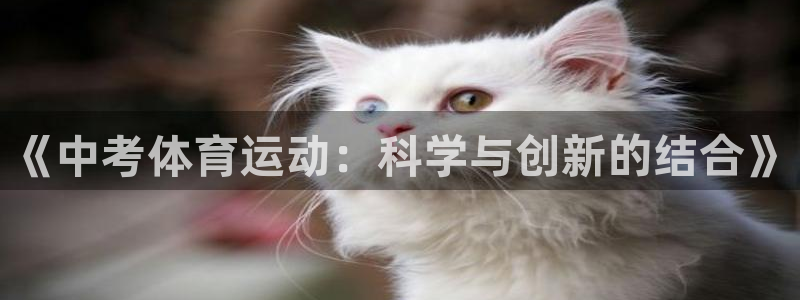球客岛