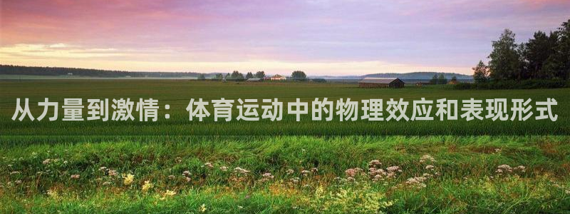 球客岛