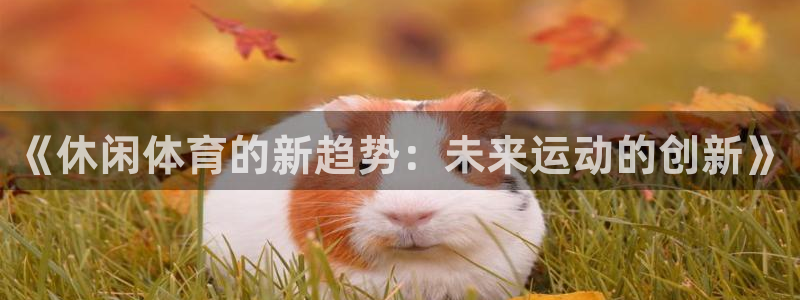 球客岛