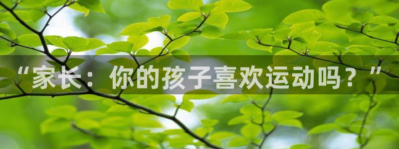 球客岛