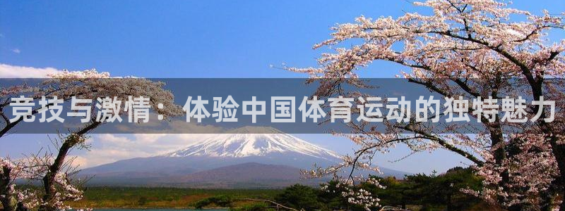 球客岛