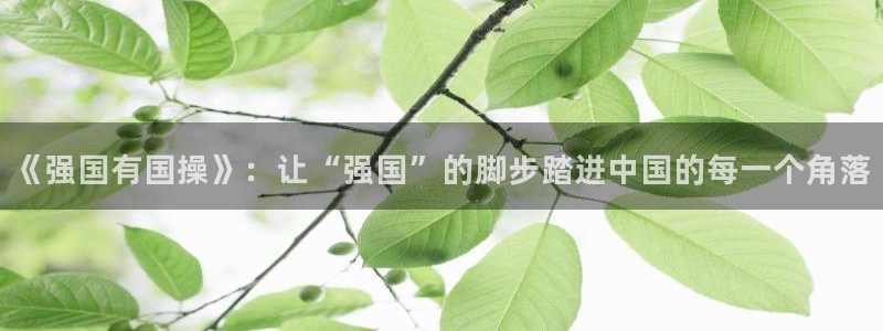 球客岛