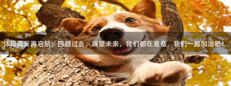 球客岛