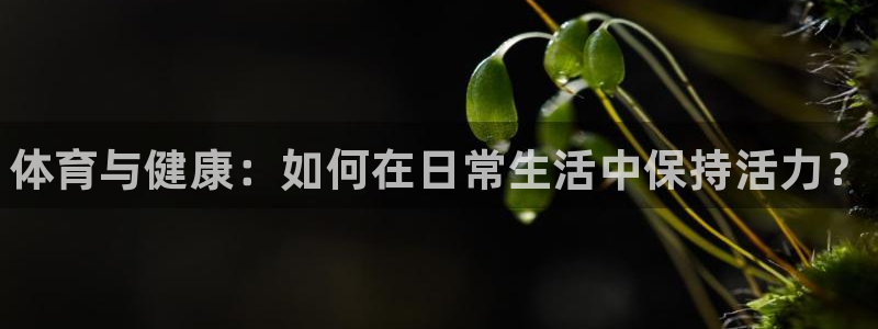球客岛