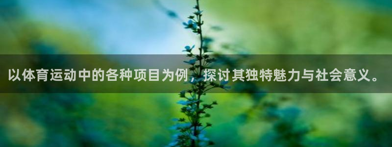 球客岛
